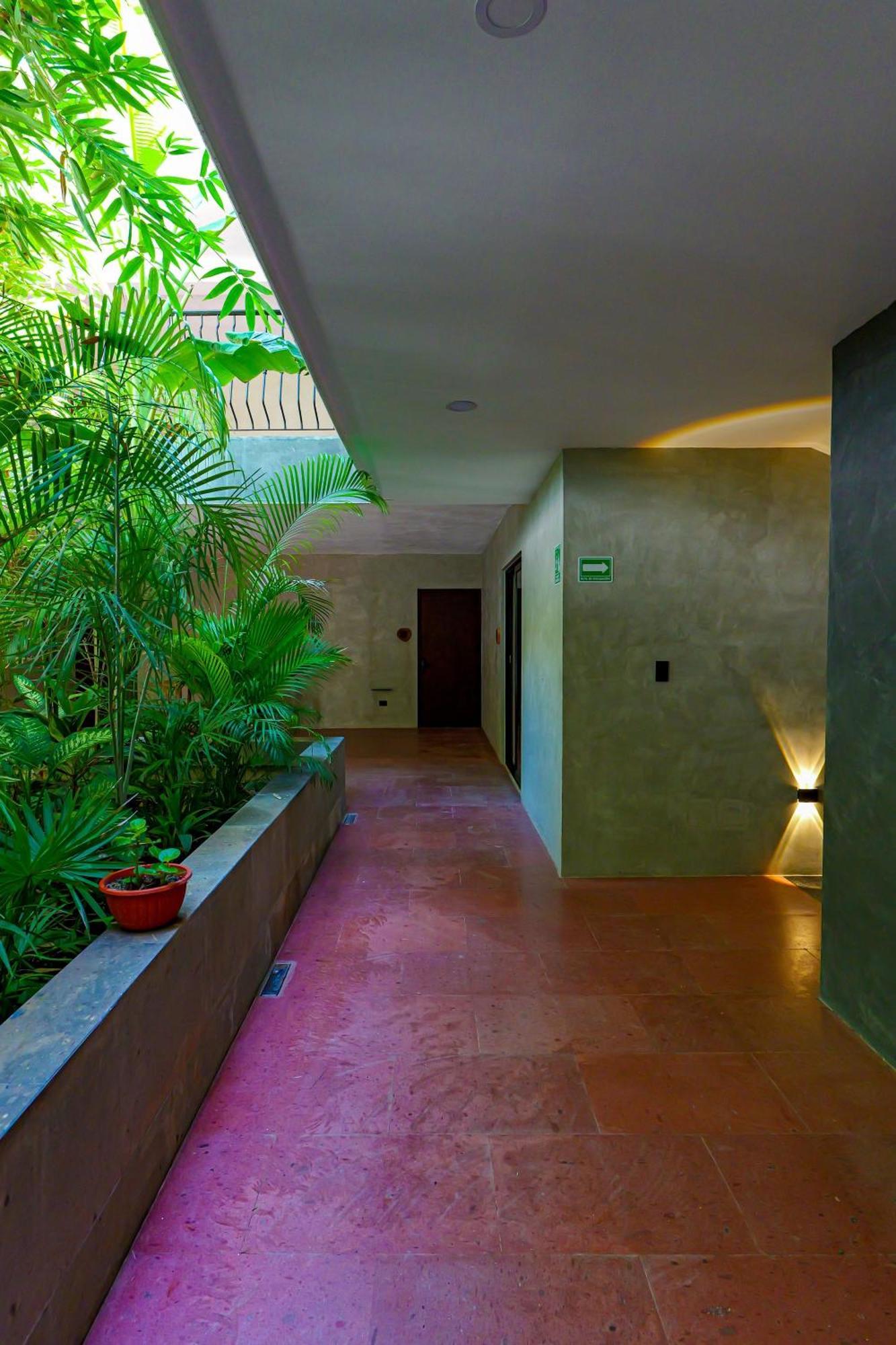 Hotel Calea Tulum Exteriér fotografie