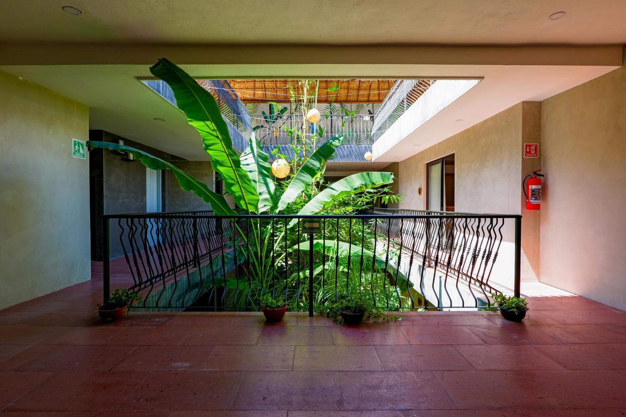 Hotel Calea Tulum Exteriér fotografie
