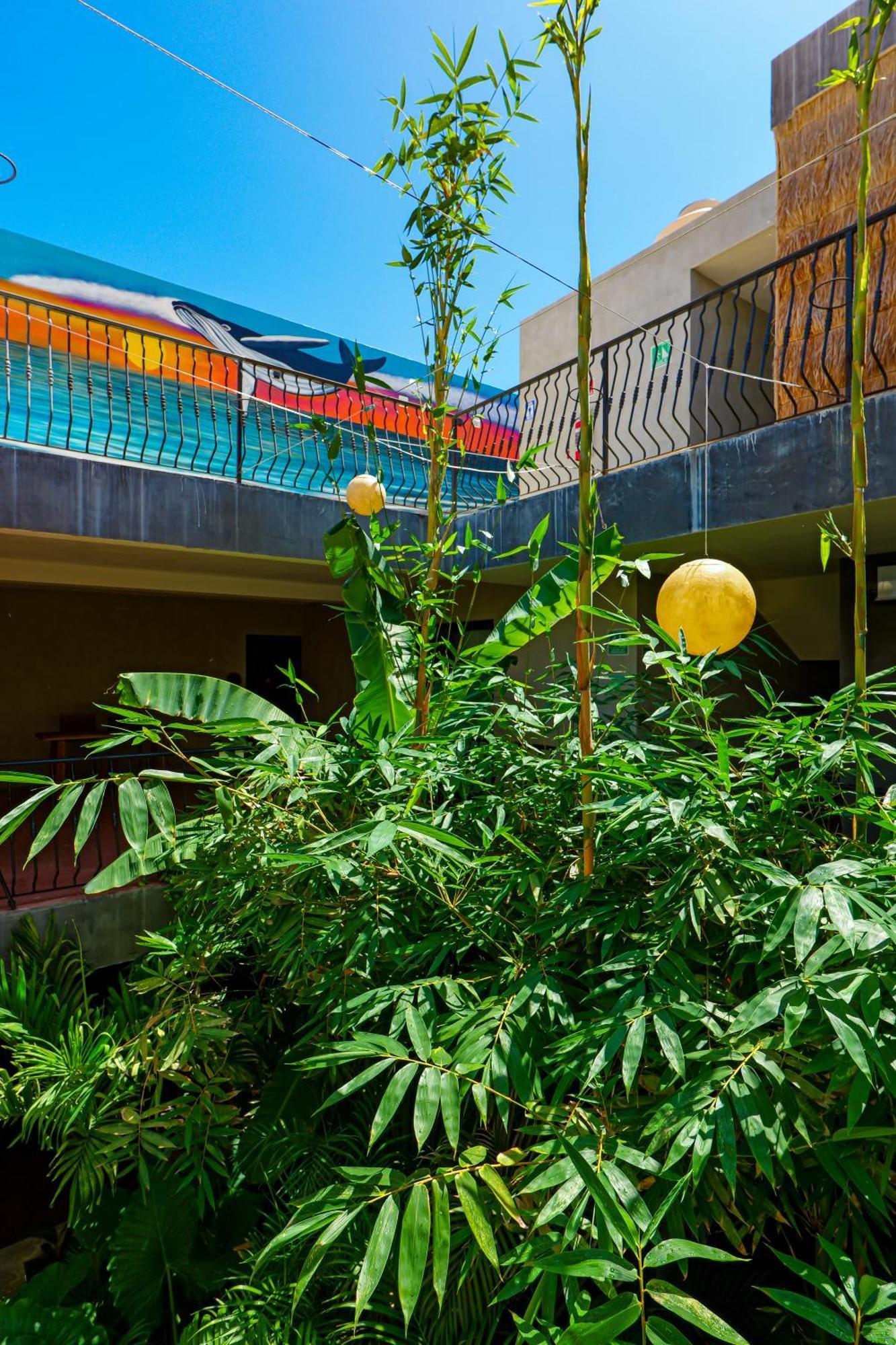 Hotel Calea Tulum Exteriér fotografie